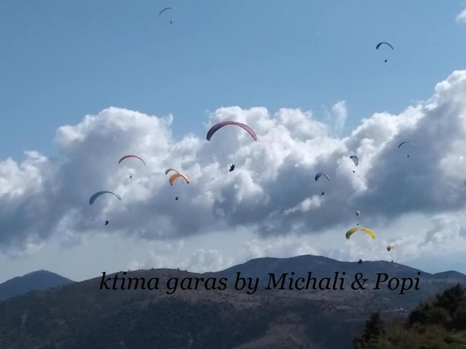 Ktima Garas Appartement Paralia Pantaleimonos Buitenkant foto