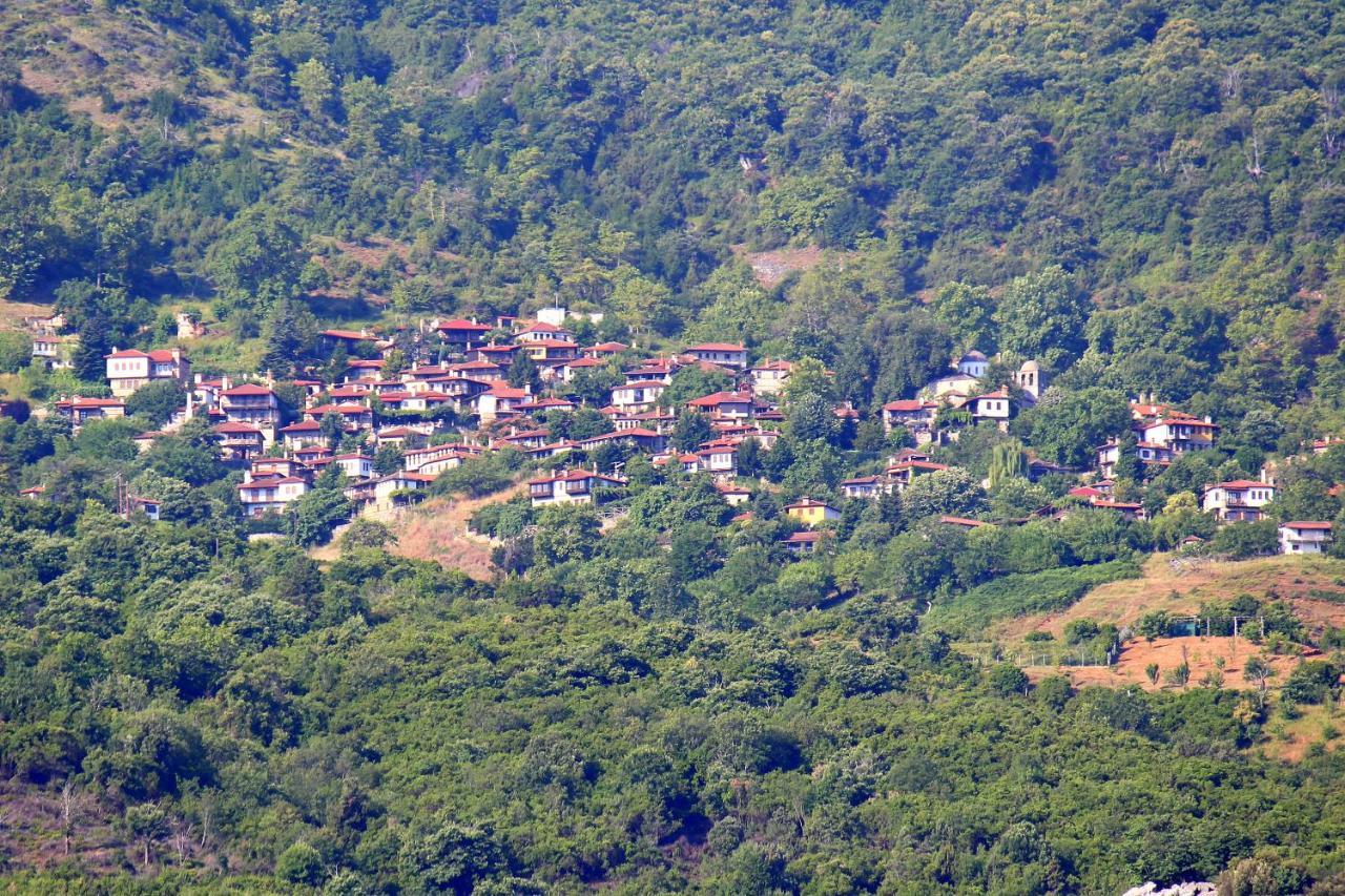 Ktima Garas Appartement Paralia Pantaleimonos Buitenkant foto